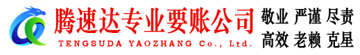 玄武腾速达清债公司